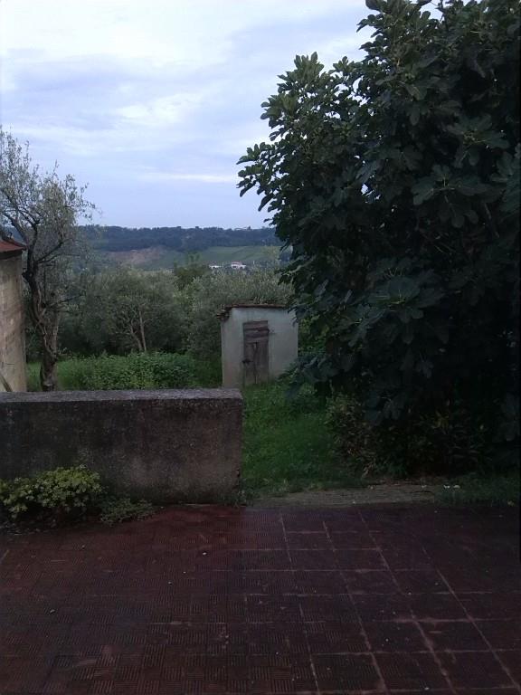 immagine annuncio 6 di 7