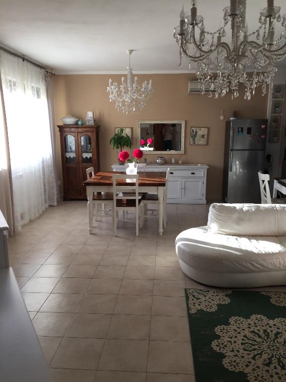 immagine annuncio 2 di 6