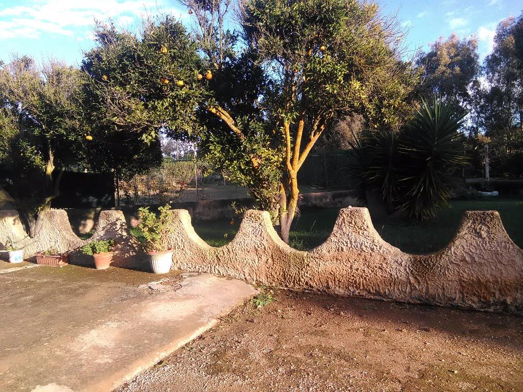 immagine annuncio 6 di 7