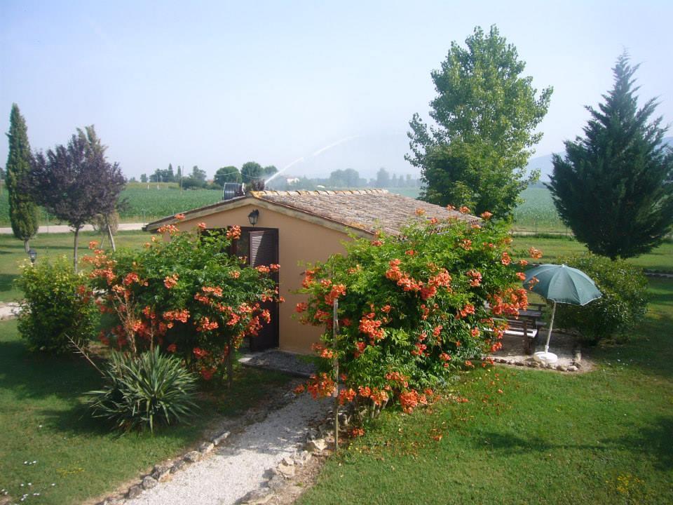immagine annuncio 4 di 6