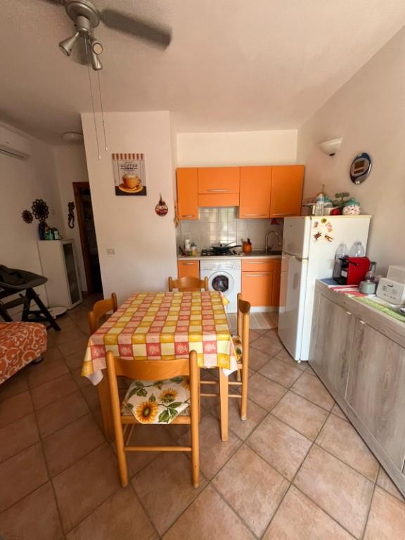 immagine annuncio 4 di 7