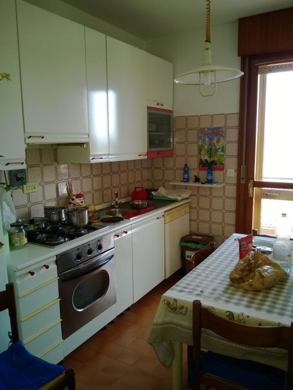 immagine annuncio 2 di 7