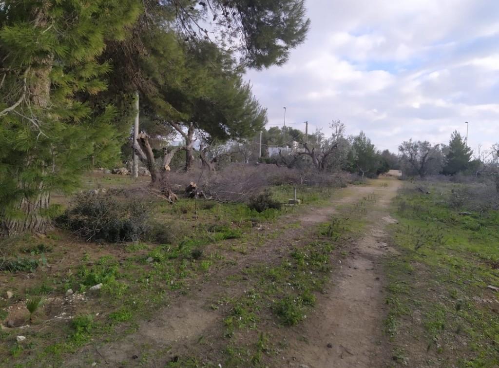immagine annuncio 6 di 7