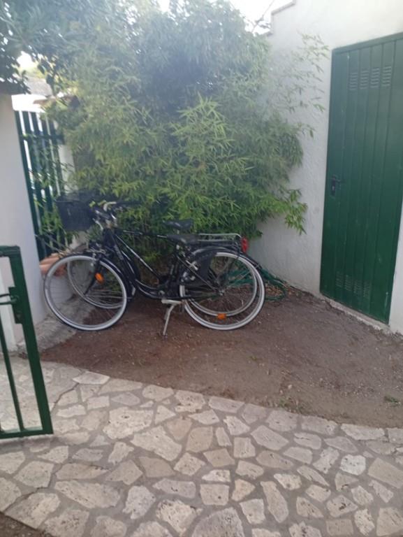 immagine annuncio 1 di 3