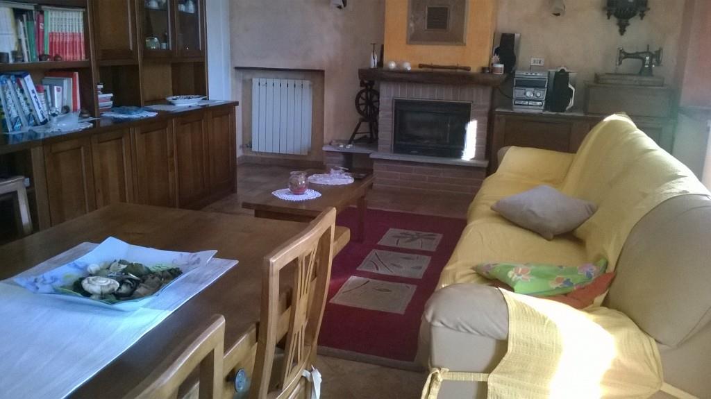 immagine annuncio 2 di 6
