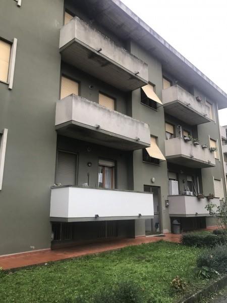immagine annuncio 4 di 7