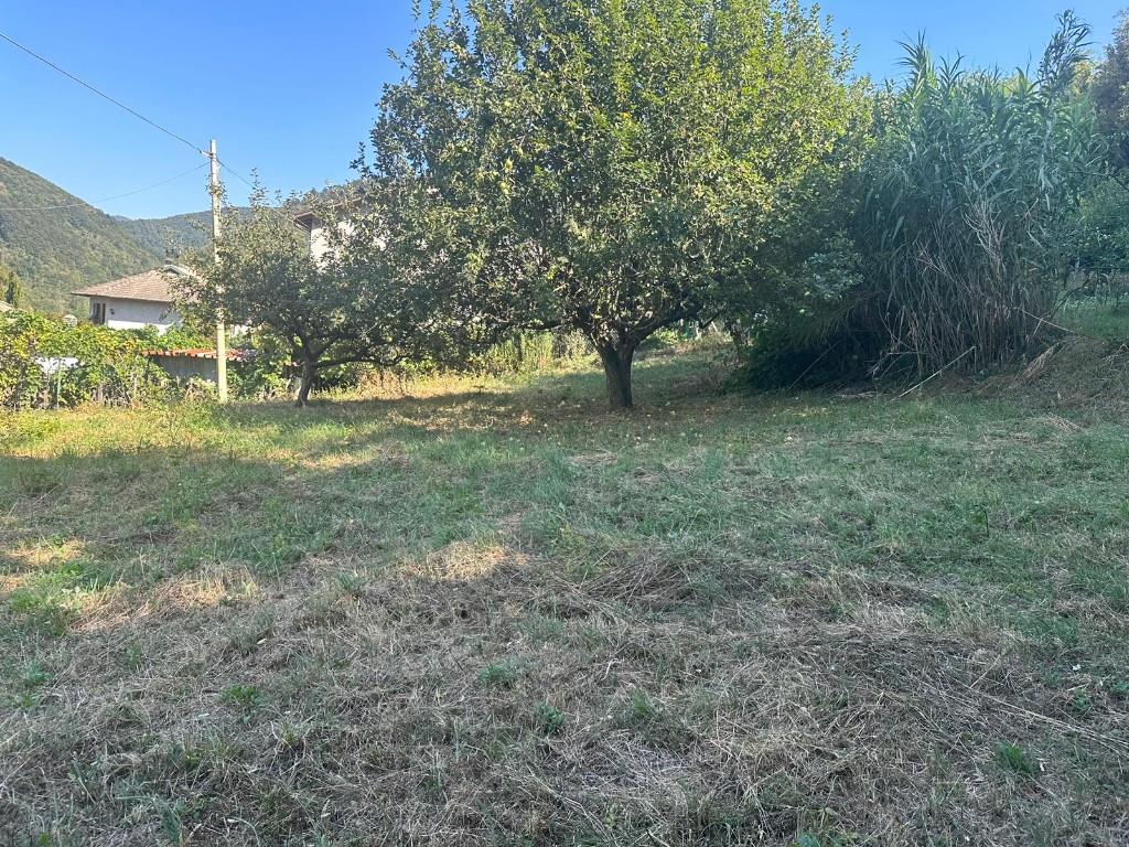 immagine annuncio 2 di 7
