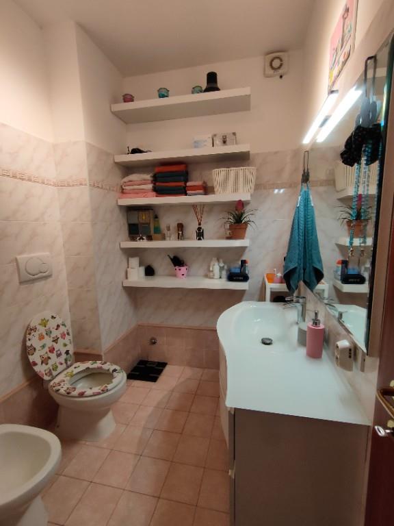 immagine annuncio 3 di 7