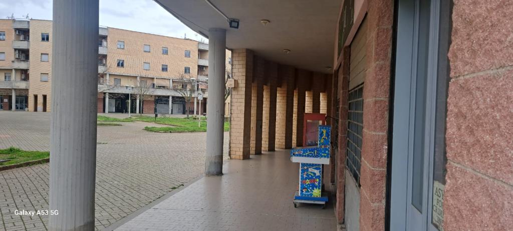 immagine annuncio 2 di 4
