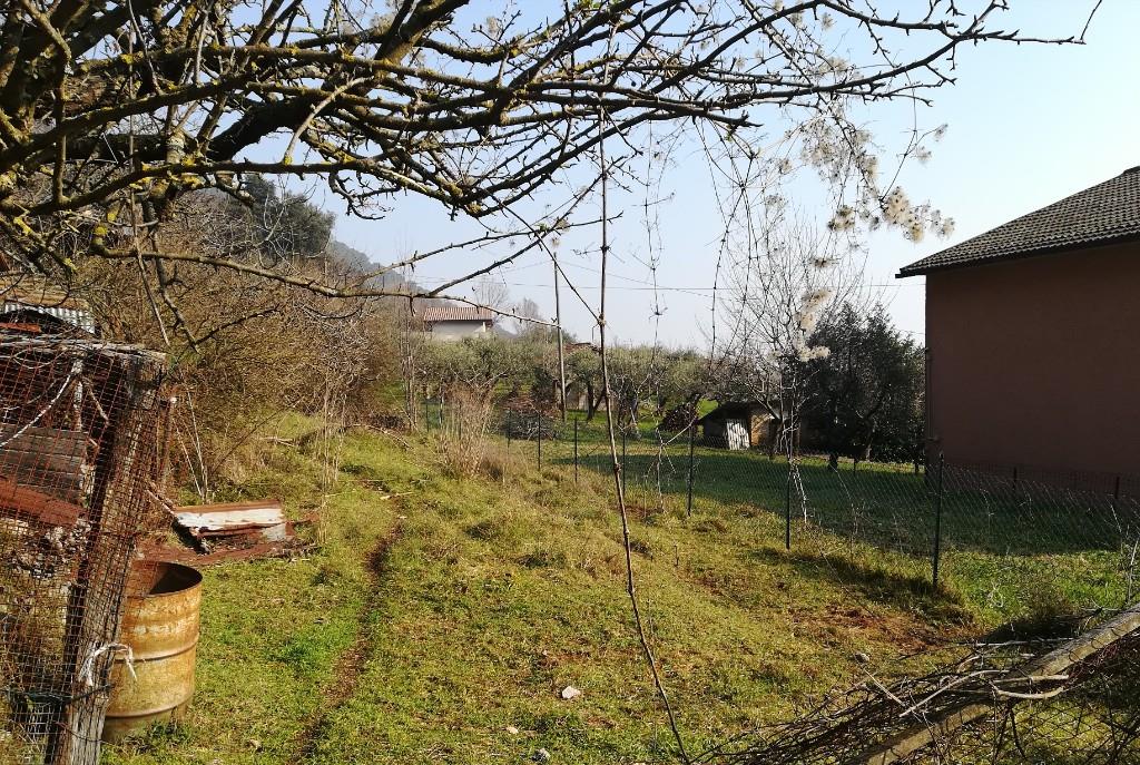 immagine annuncio 3 di 7