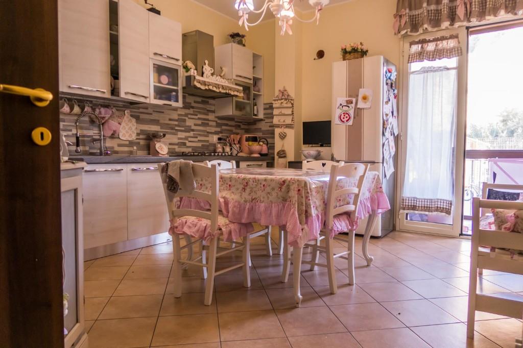 immagine annuncio 4 di 7