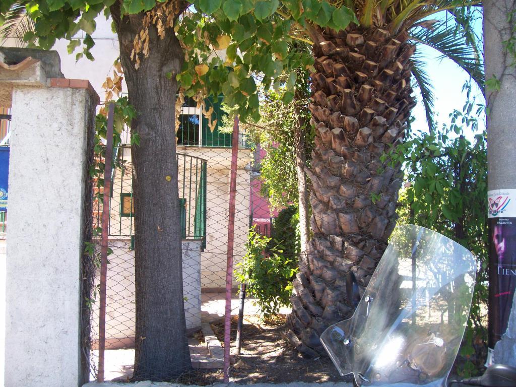 immagine annuncio 3 di 7
