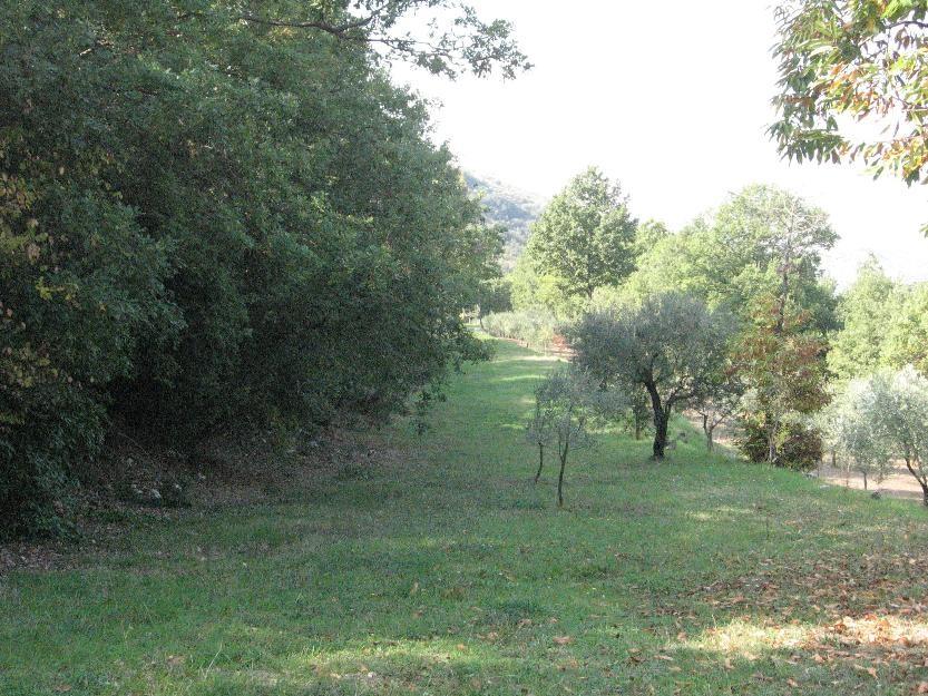 immagine annuncio 2 di 7