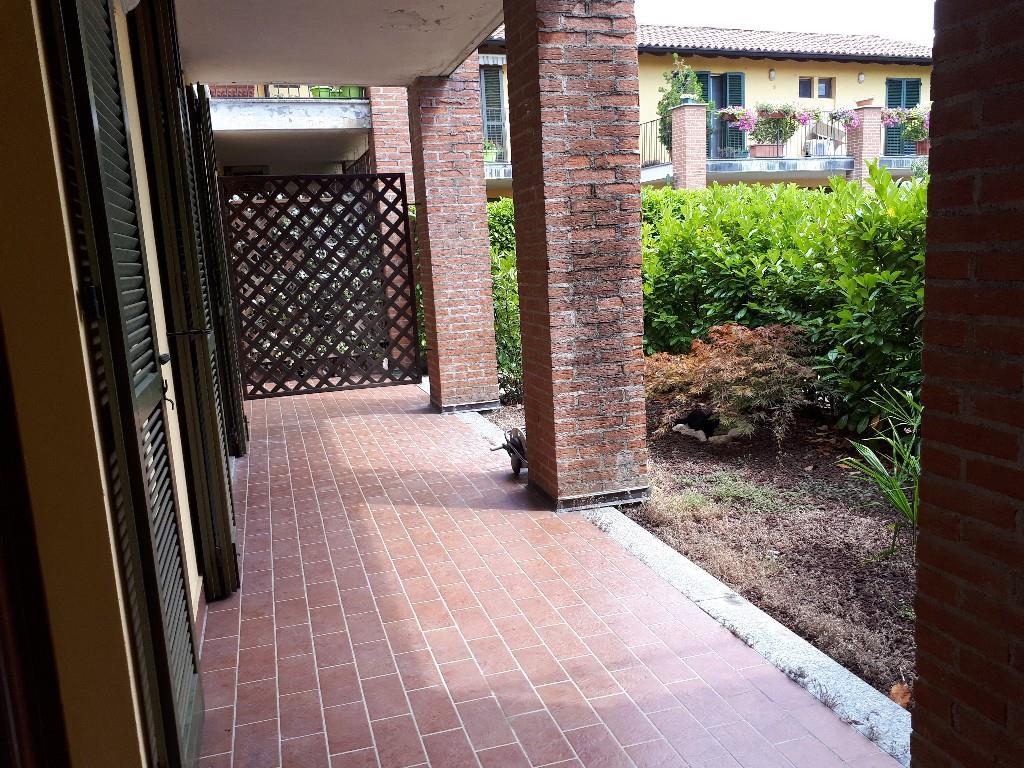 immagine annuncio 2 di 7