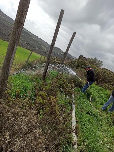 immagine annuncio 3 di 6