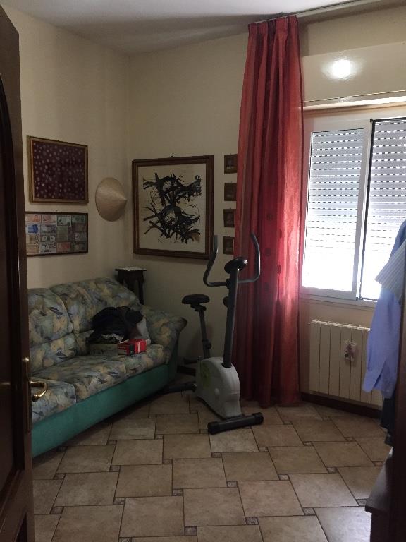 immagine annuncio 3 di 7