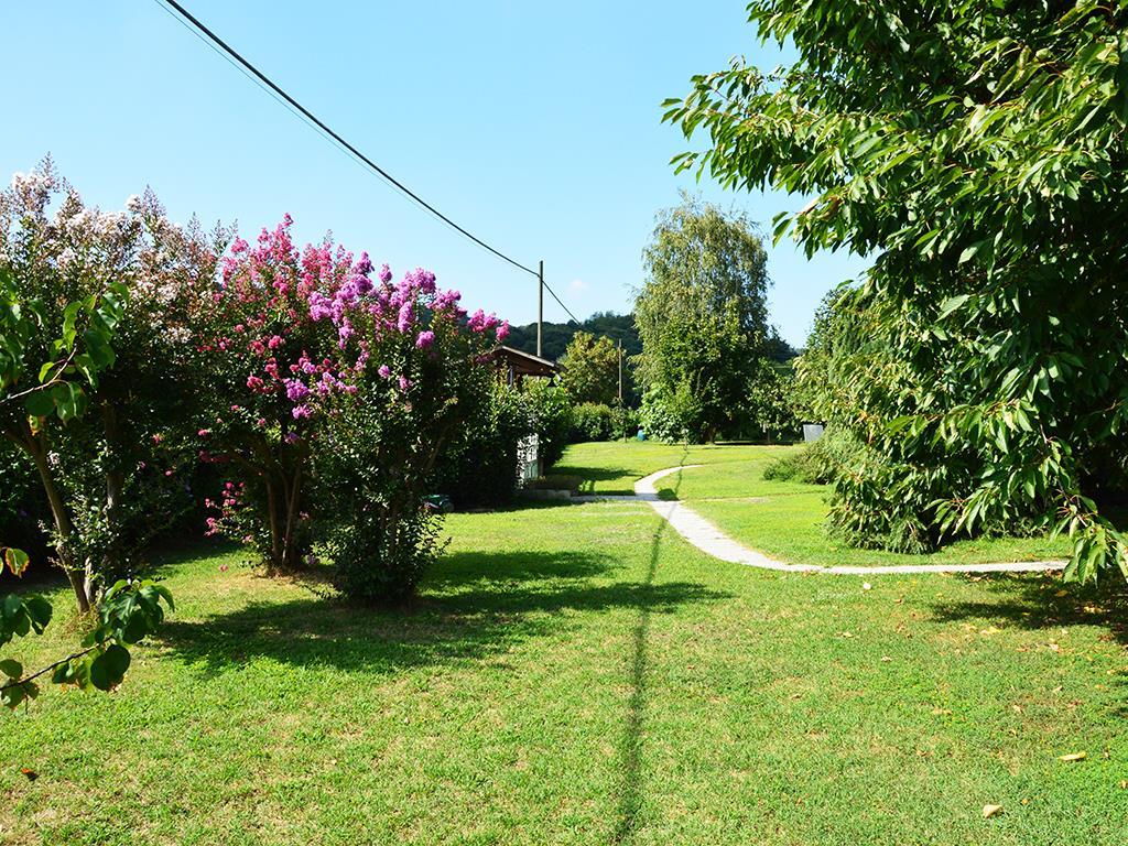 immagine annuncio 5 di 7