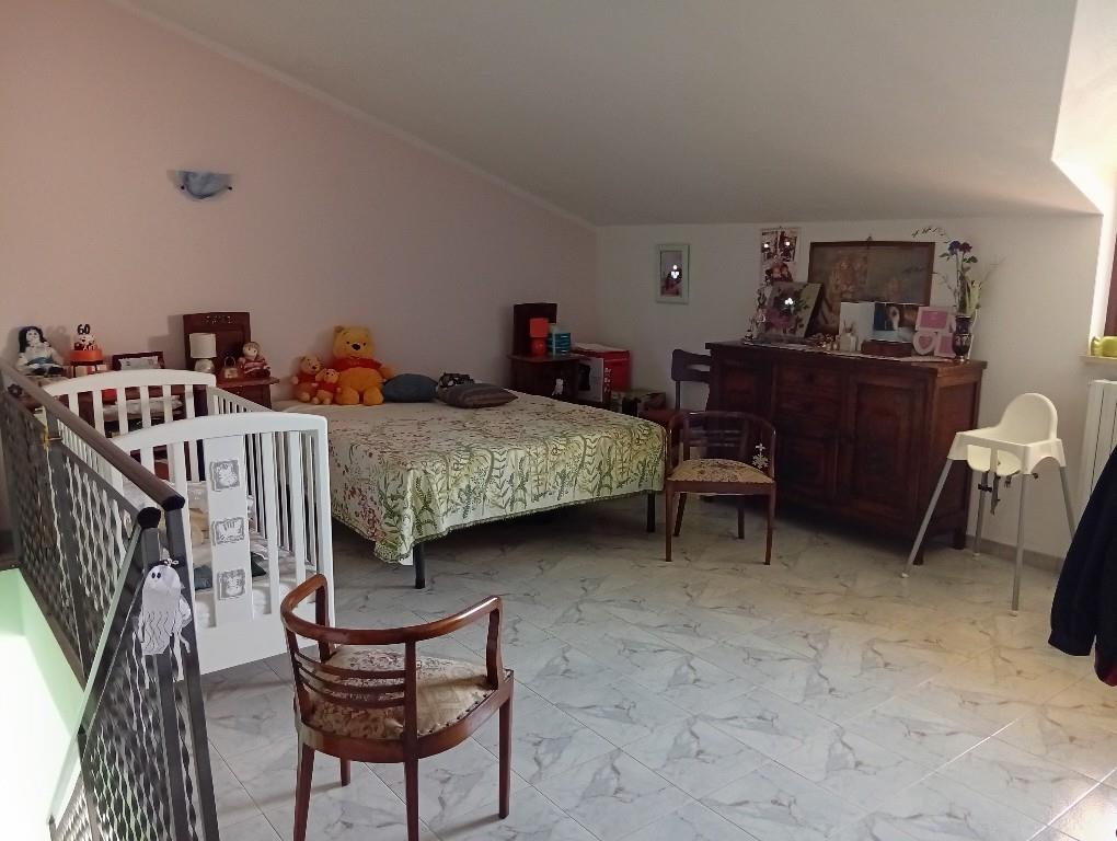 immagine annuncio 3 di 7