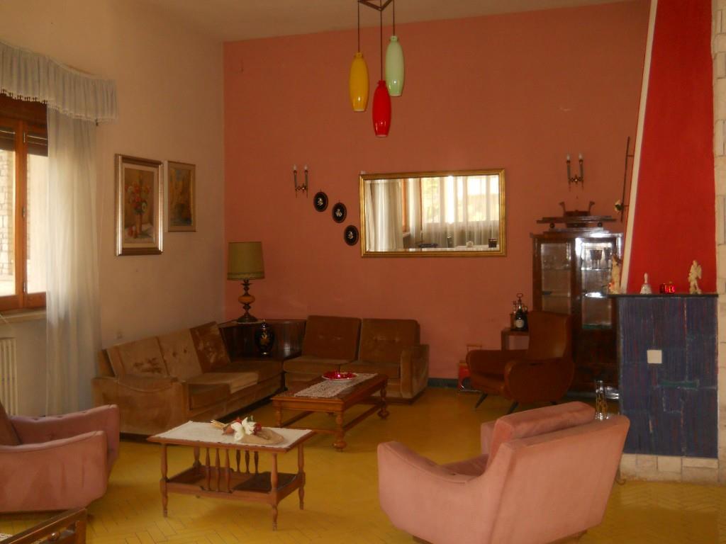 immagine annuncio 3 di 7