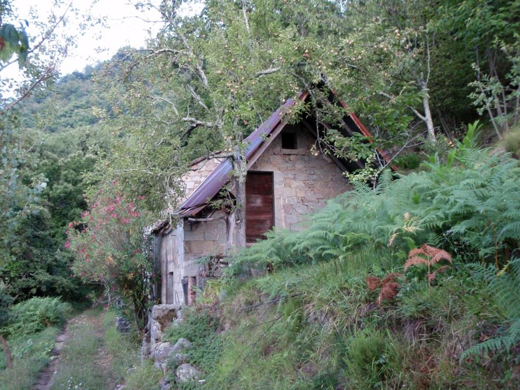 immagine annuncio 5 di 7