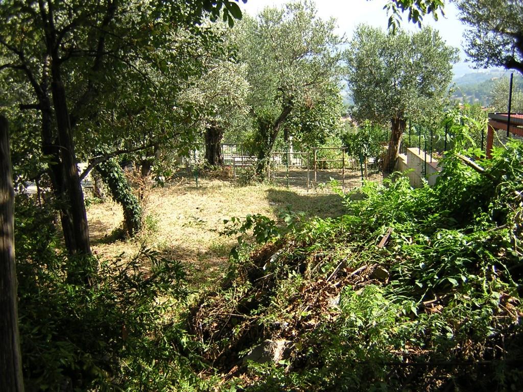 immagine annuncio 4 di 7
