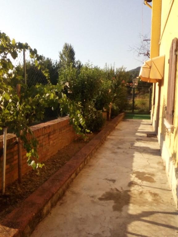 immagine annuncio 2 di 7
