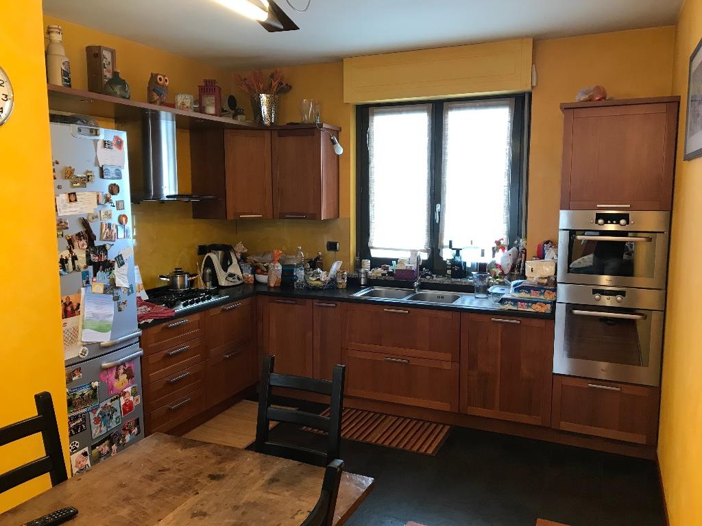 immagine annuncio 1 di 7