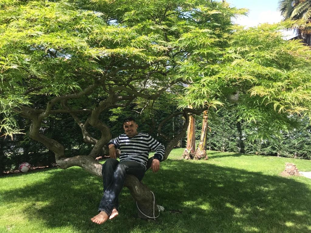 immagine annuncio 1 di 2