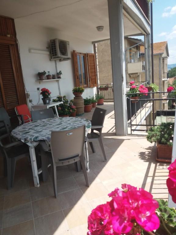 immagine annuncio 2 di 7