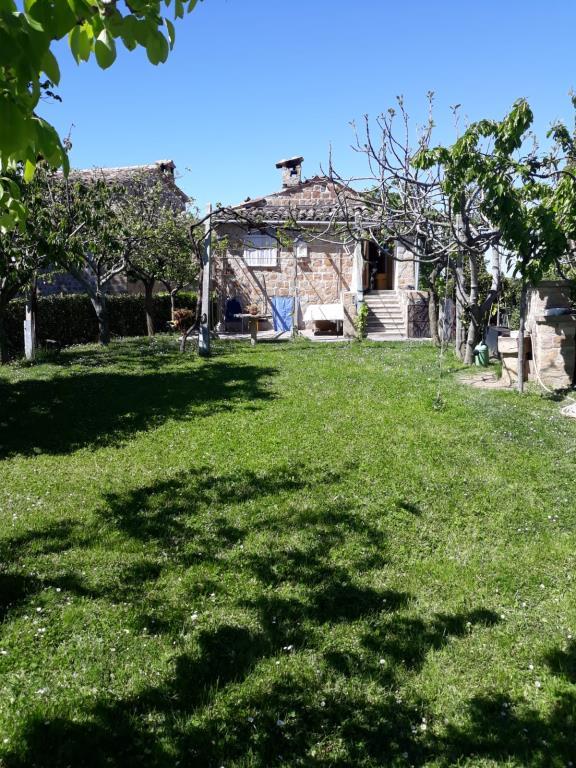immagine annuncio 6 di 7