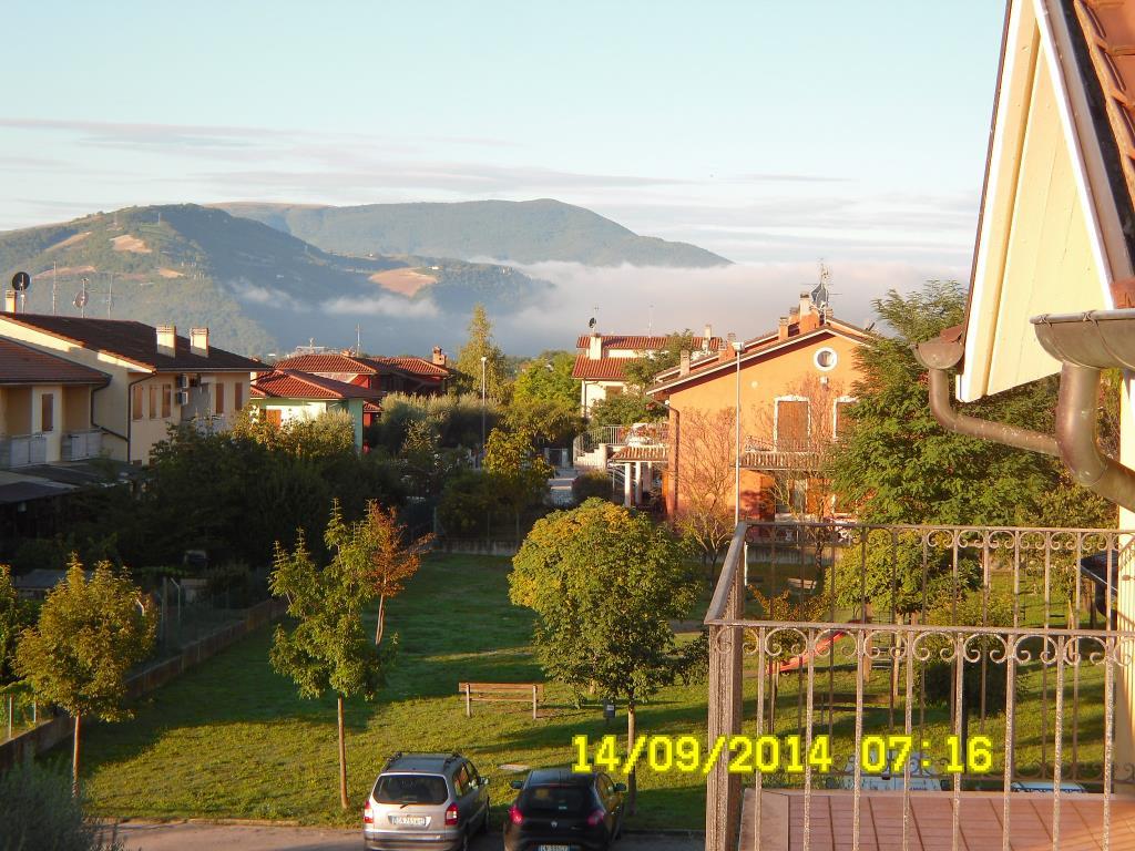 immagine annuncio 6 di 7