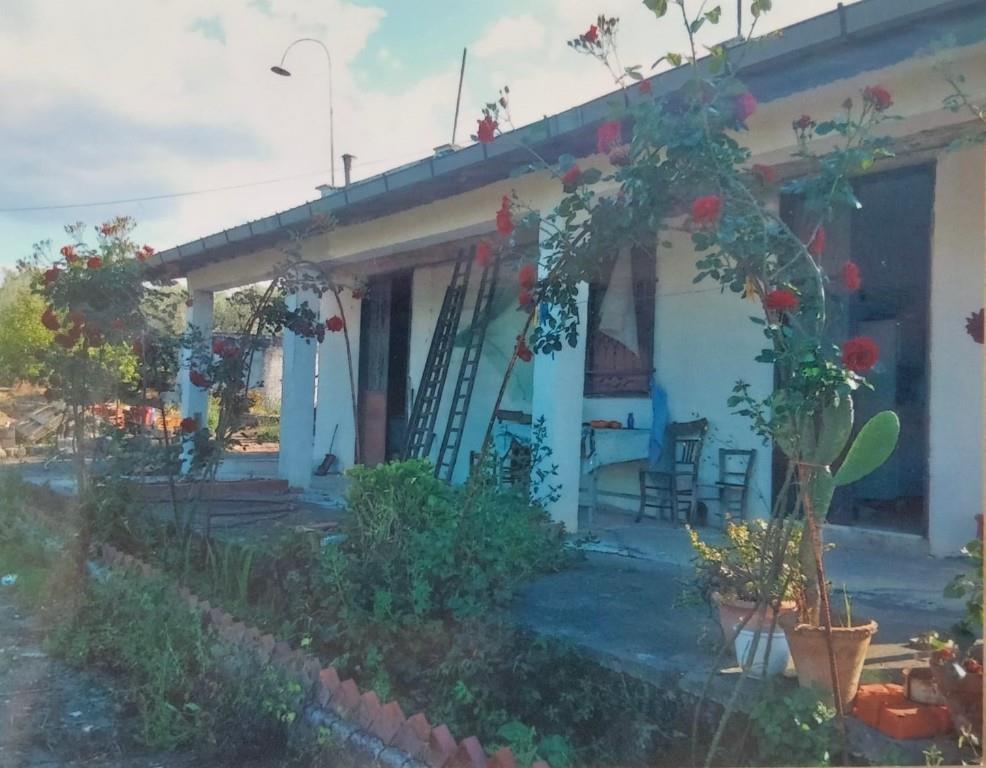 immagine annuncio 3 di 6