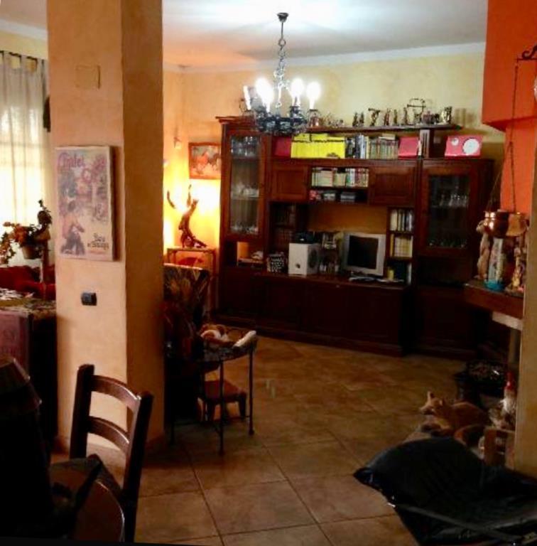 immagine annuncio 5 di 6
