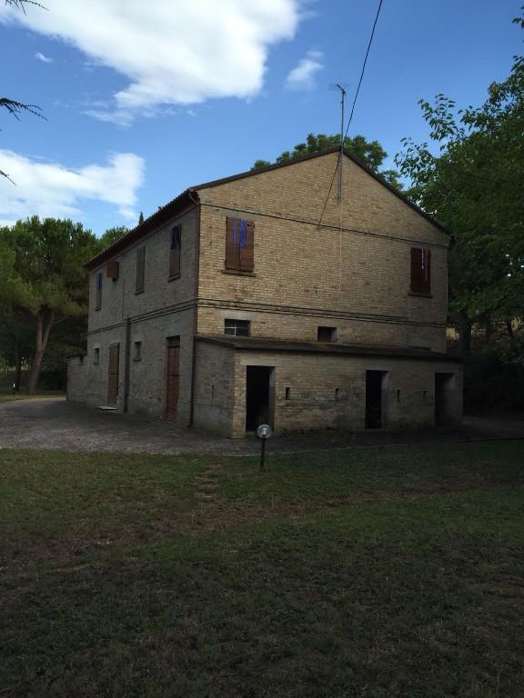 immagine annuncio 3 di 7