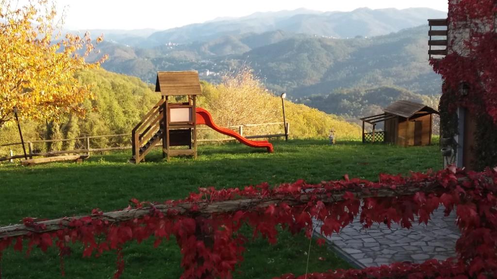 immagine annuncio 3 di 7