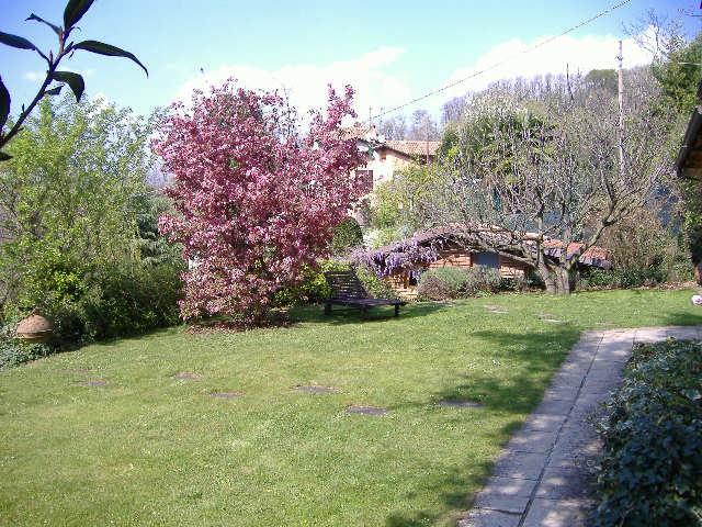 immagine annuncio 5 di 7
