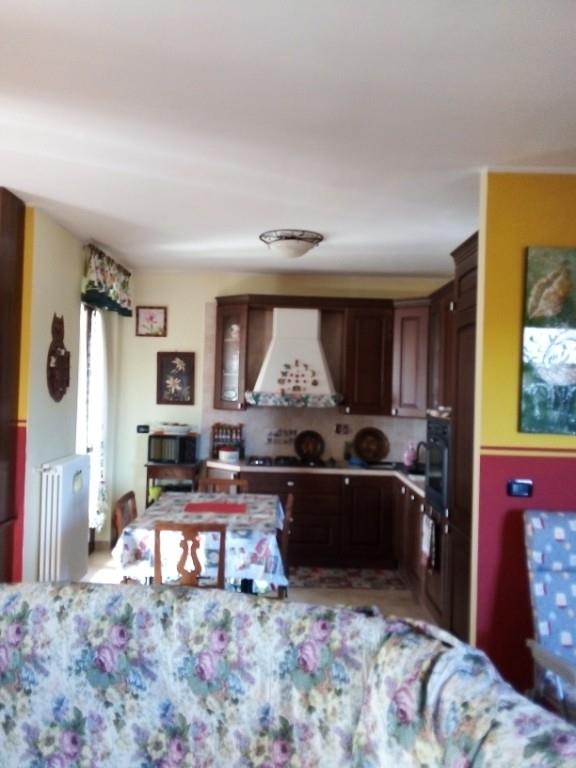 immagine annuncio 4 di 7