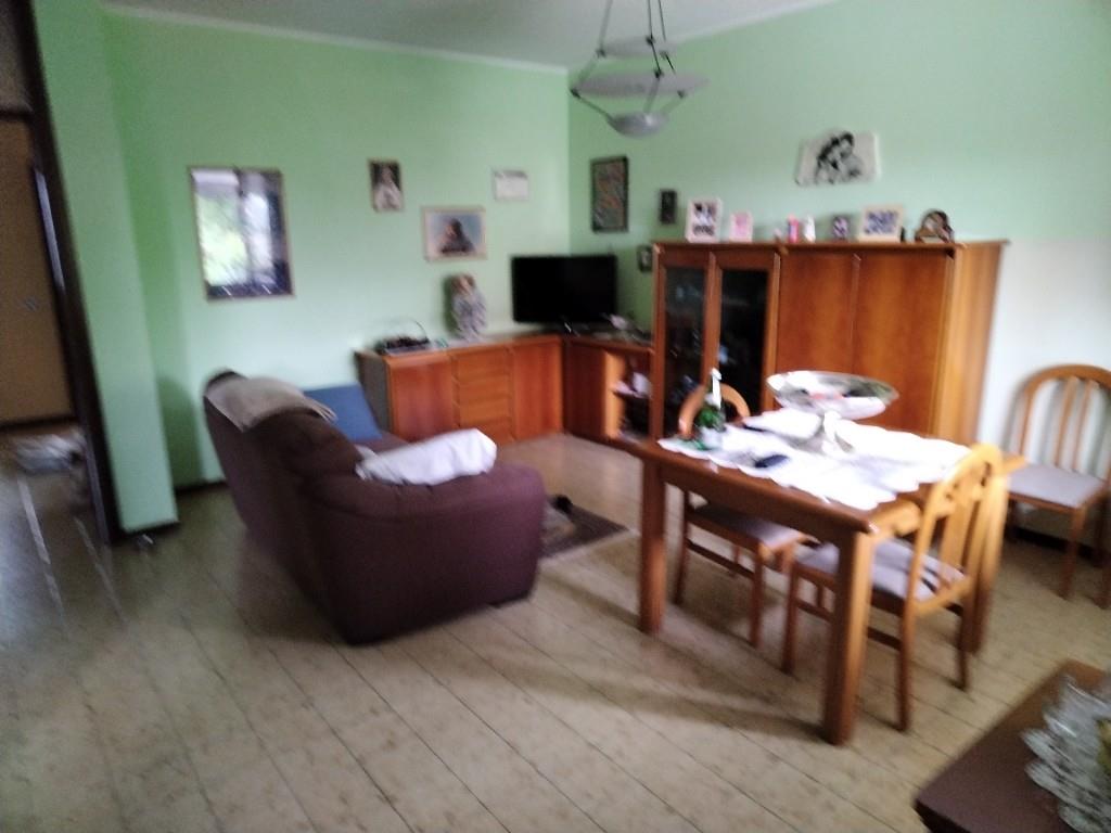 immagine annuncio 3 di 7