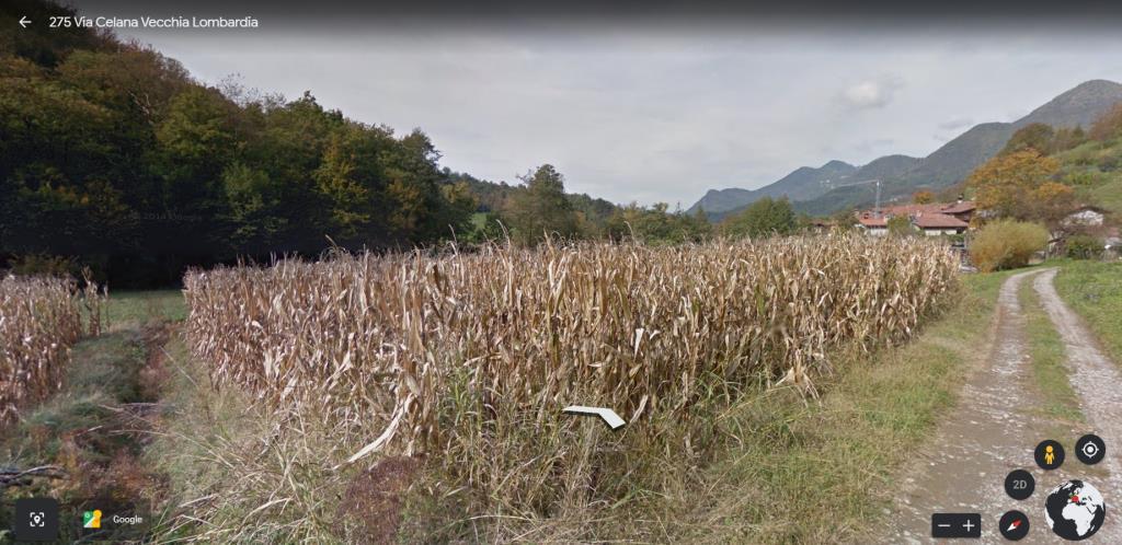 immagine annuncio 3 di 7