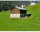 Foto - Baita/Chalet/Trullo in Vendita a San Pietro di Cadore - Presenaio