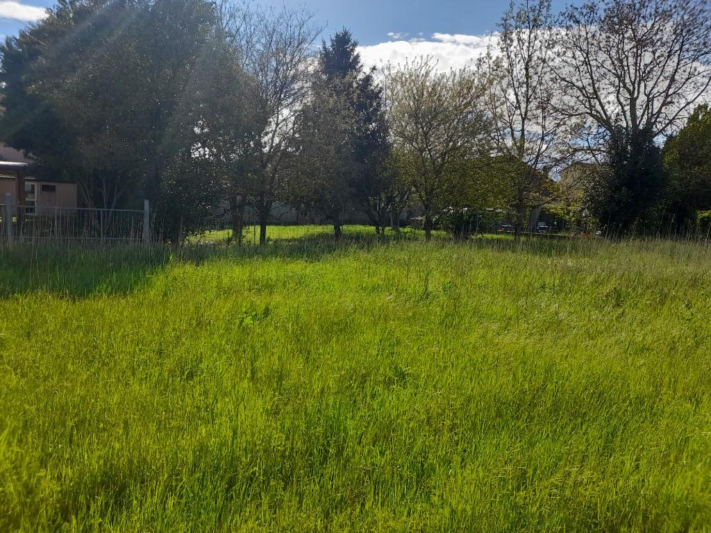 immagine annuncio 4 di 7