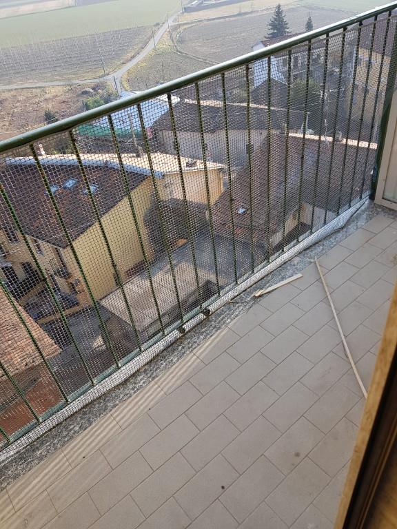immagine annuncio 3 di 7
