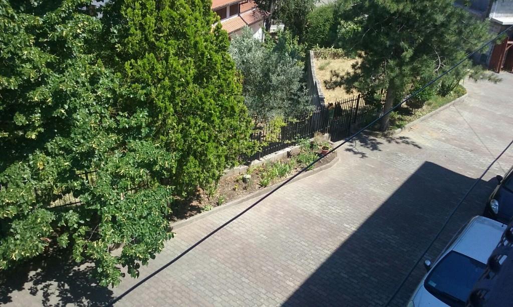 immagine annuncio 3 di 7