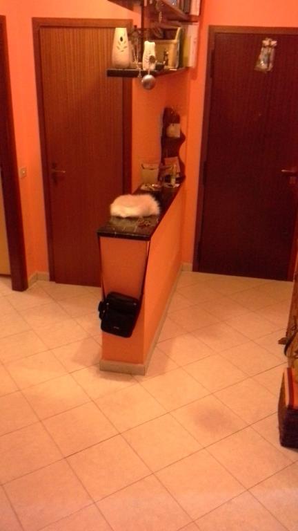 immagine annuncio 4 di 6