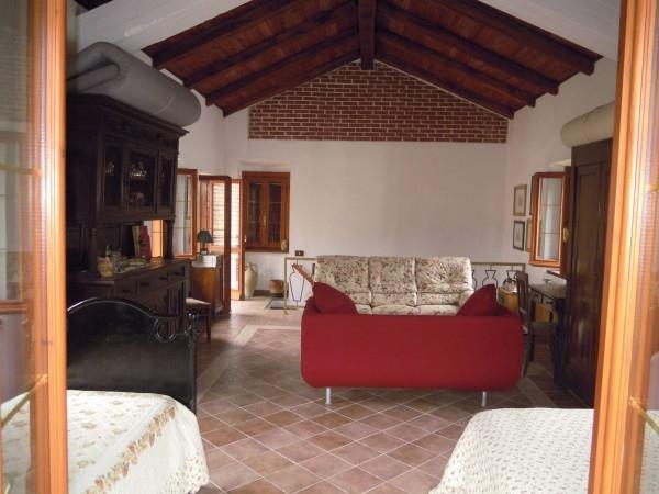 immagine annuncio 3 di 7