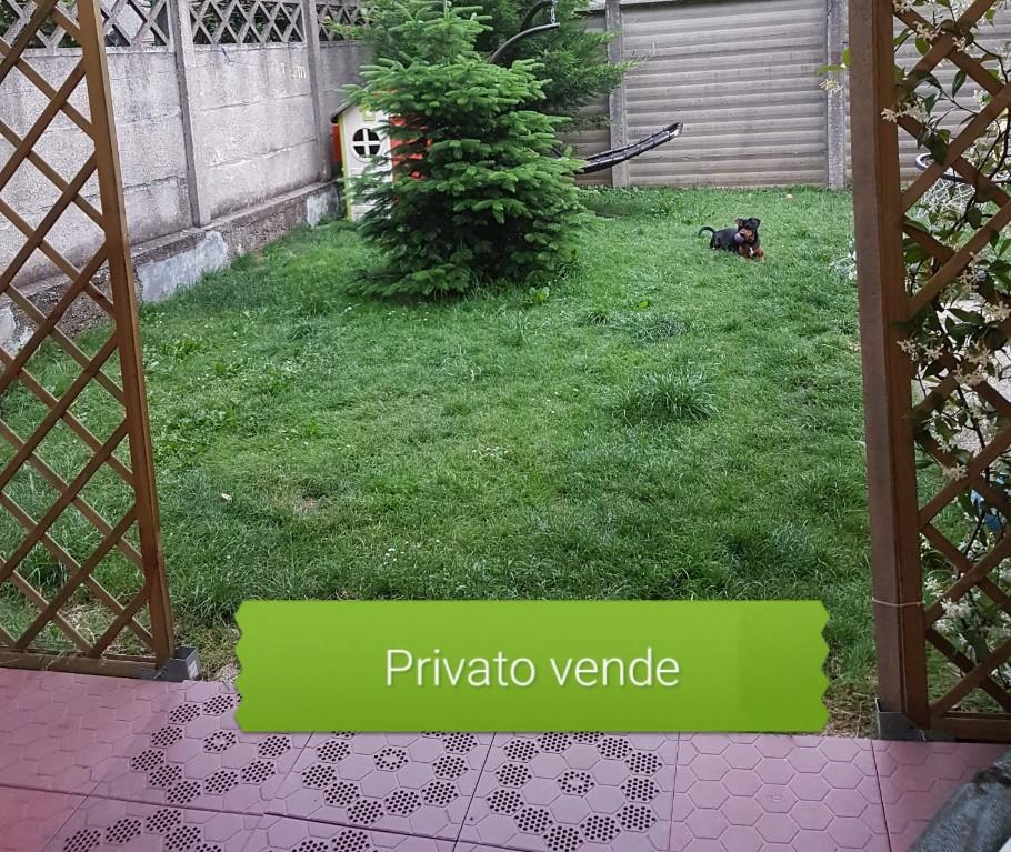 immagine annuncio 1 di 7