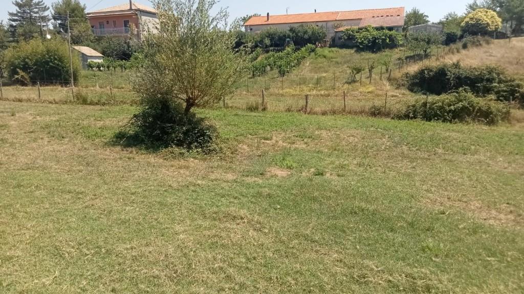 immagine annuncio 5 di 7