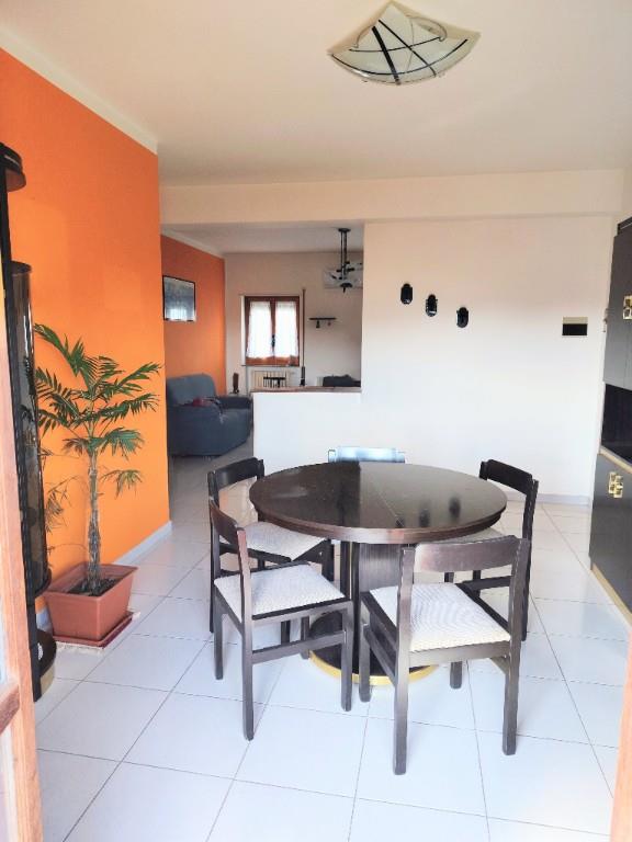 immagine annuncio 1 di 7