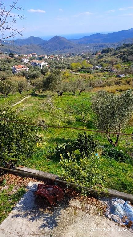 immagine annuncio 1 di 7