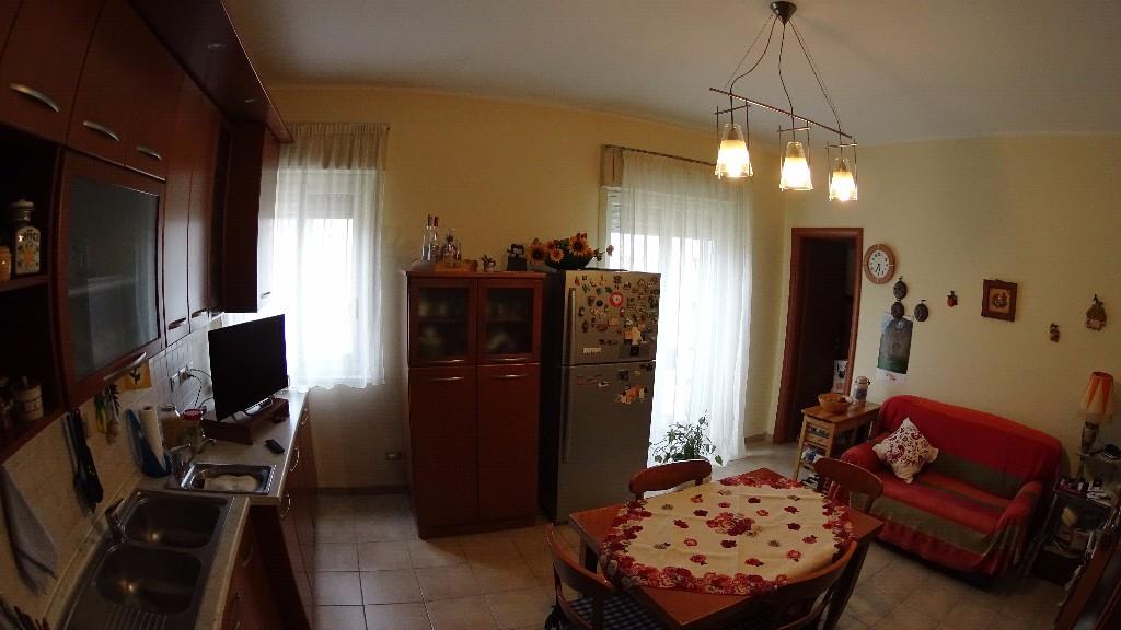 immagine annuncio 1 di 7